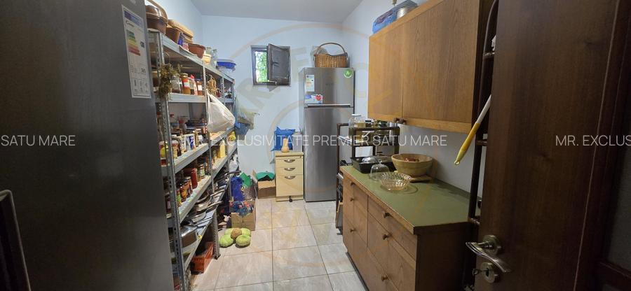 De Vânzare Casă zona Lucian Blaga Satu Mare - 19