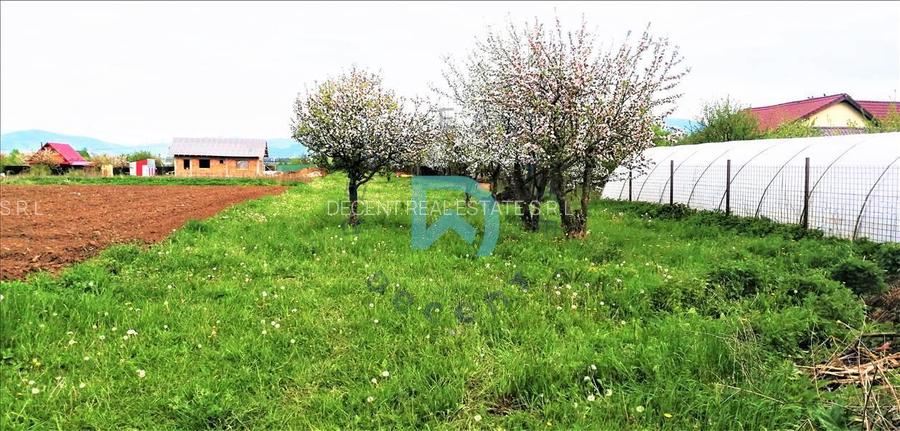 Vanzare teren intravilan, Sanpetru, Livada - 11