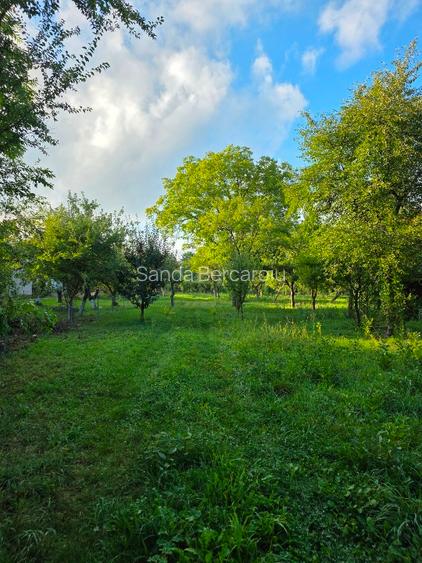 Teren 2500 mp – POTENȚIAL BUSINESS / DEZVOLTARE – Breaza - 3