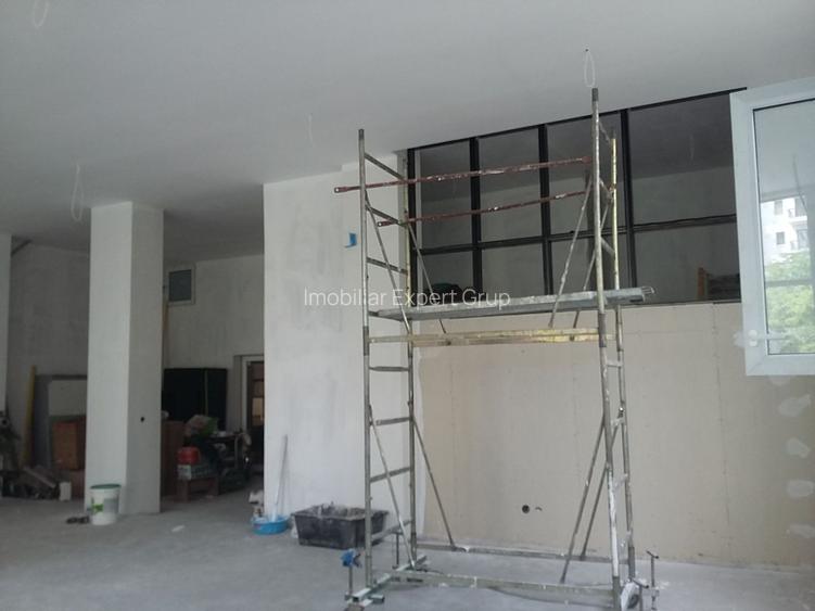 Theodor Pallady  300 mp - 5