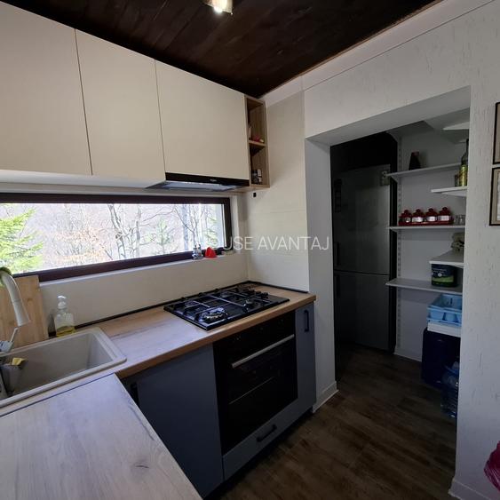 Casa de Vacanta Lepsa - 11