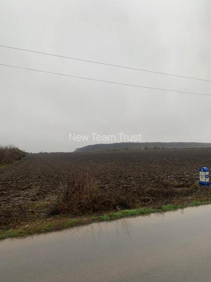 Afumati  Vanzare Suprafata 12,8 Hectare -Petrechioaia 35 000mp- Cernica 25400mp - 12