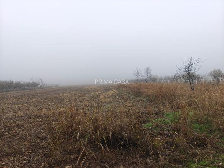 Teren intravilan 12.511 mp | Potoceni – Mărăcineni | Ideal pentru dezvoltare rez - 5