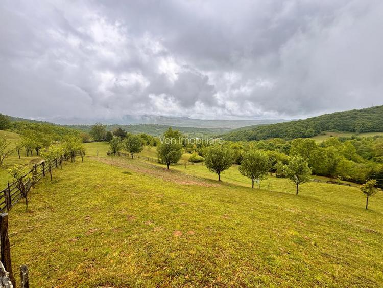 Teren extravilan cu potențial turistic – 5 ha în Josenii Bârgăului - 4