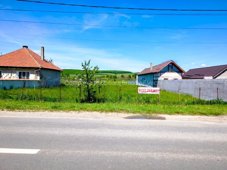 Oportunitate de Investiție. Teren 5.000 mp în Podul Oltului. - 2
