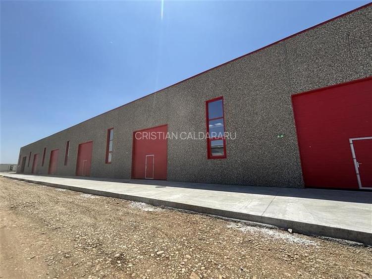 Vanzare depozit/spatiu industrial/hala Chitila - Rudeni, ILFOV - 5