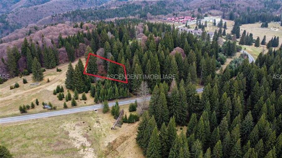 Teren cu potential:1.000 mp,proiect turistic/rezidential,Poiana Brasov - 6