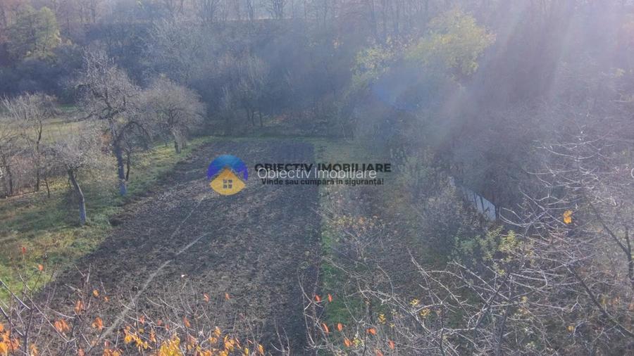 Casa + teren 5062 mp de vanzare – Targu Neamt - 7