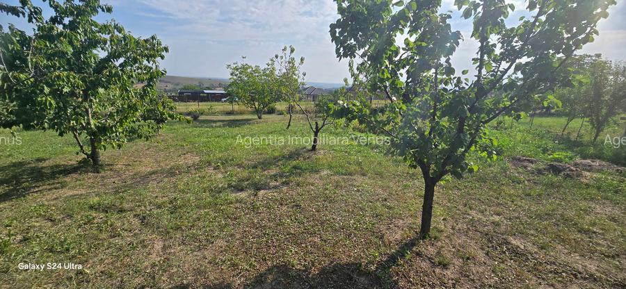 Teren cu cabanuta de lemn in Zaicesti - 11