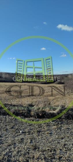 Teren extravilan 2.400 mp de vânzare – Veștem, lângă Schitul Înălțarea Domnului - 2