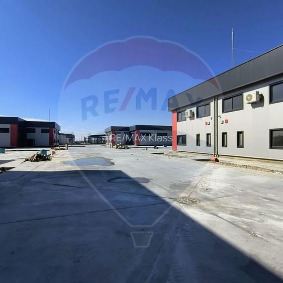 Hale noi de inchiriat Domnesti - putere instalata pana la 600kva - 20