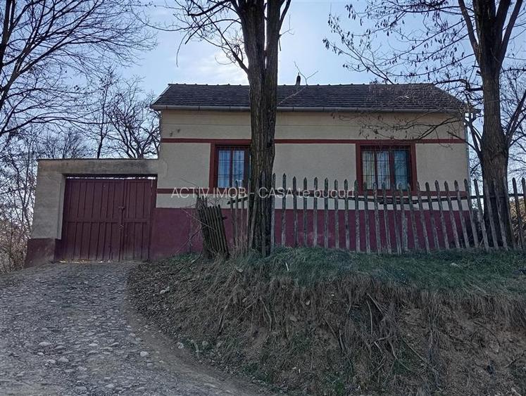 Petrosnita, Casa, 4 incaperi la 10 min. de Caransebes - 19