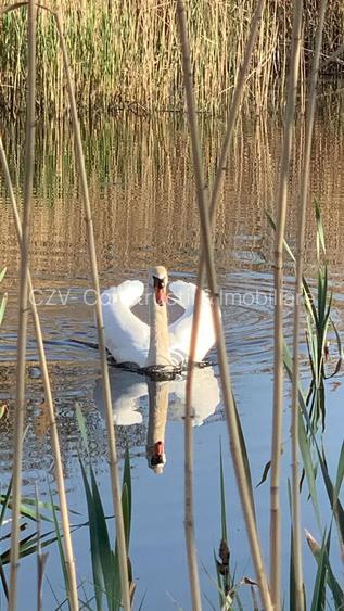 Teren 2000 mp de vânzare – Comana, deschidere la lac, aproape de Parcu - 11