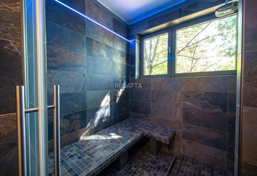 Apartament de vanzare 4 camere zona Kiseleff- Arcul de Triumf, Bucuresti 265 mp - 12