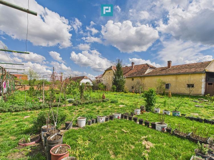 Teren 1300 mp, Beregsău Mare - 4