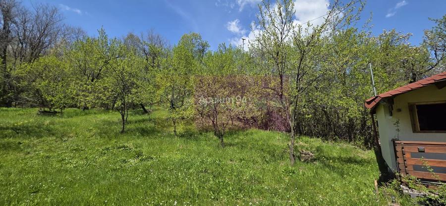Teren cu Casuta de lemn in Sotrile (langă Valea Doftanei) - 5