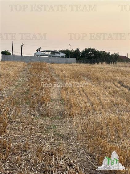 TEREN 2500MP BALACEANCA - 5