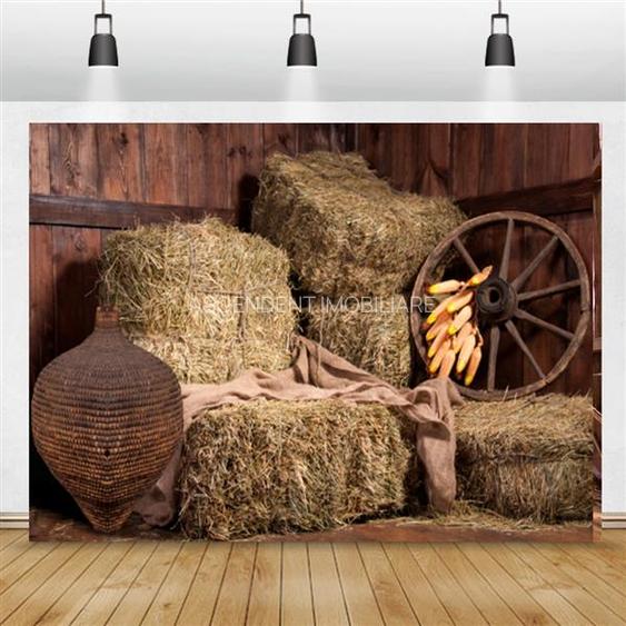 Ferma+Anexe specifice+ Constructie rezidentiala+222.000 mp domeniu - 30