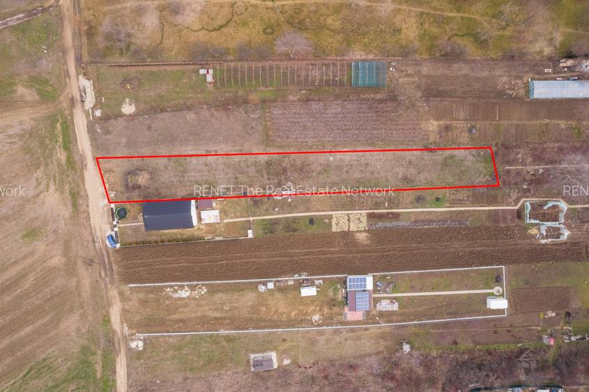 CORNETU, TEREN CONSTRUCTII 1293 MP, FRONT 12,50M! - 12