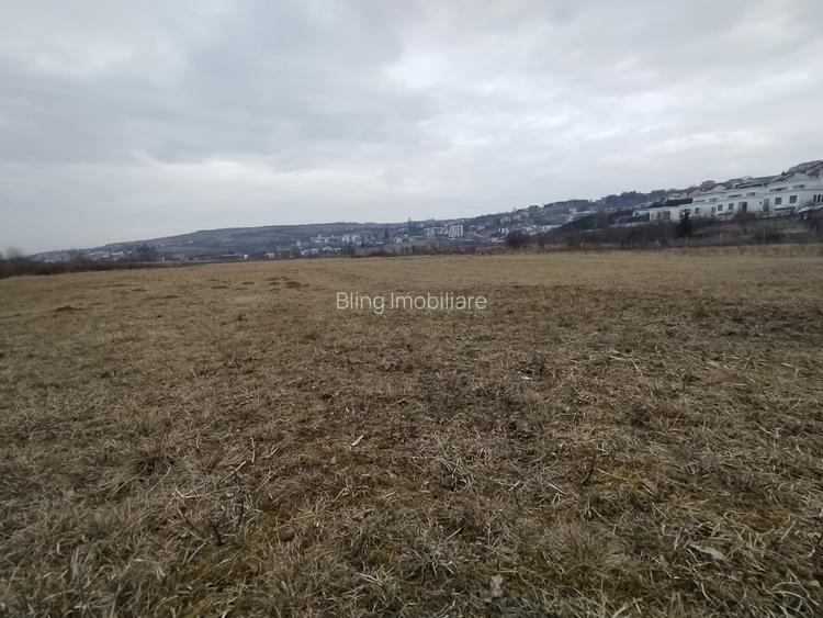 Teren Intravilan de vanzare, 4300mp, front 25 ml, Borhanci - 4