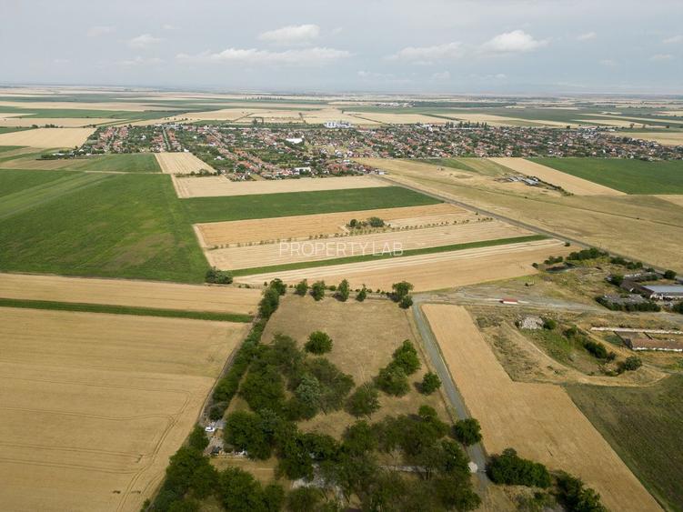 Teren intravilan Șofronea - 5