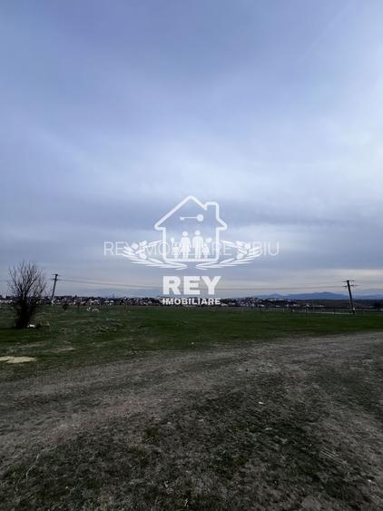 Teren Arabil Turnișor - Spre ferma de pui - 6