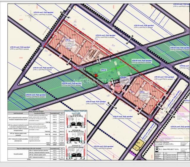 Teren constructii-30.000 mp-Berceni-Binelui - 2