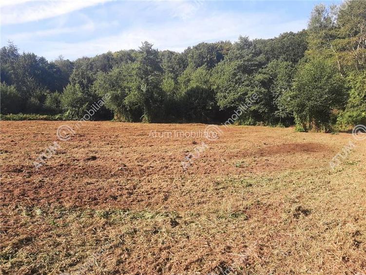 Teren intravilan de vanzare 1856 mp in Avrig zona Valea Avrigului - 3