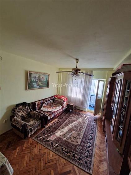 Apartament spatios cu 1 camera zona Blascovici - 14