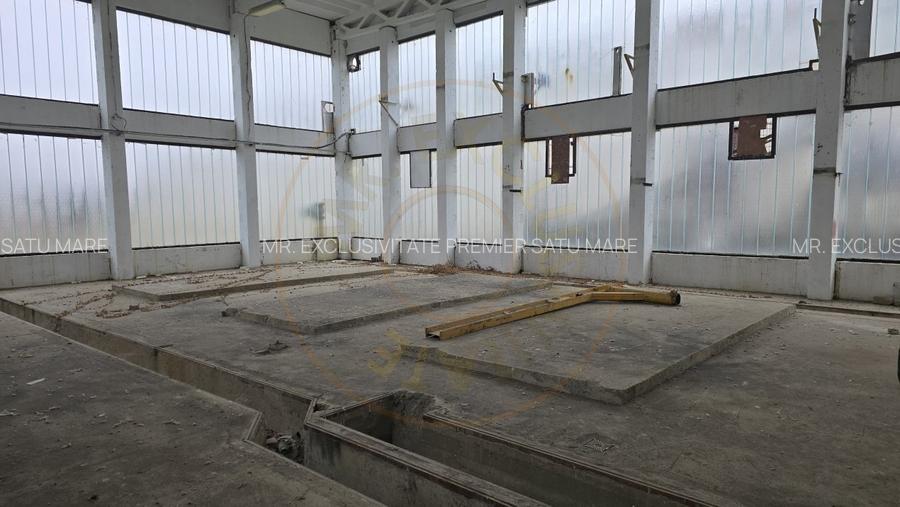 De Vanzare Hala/Depozit - 10