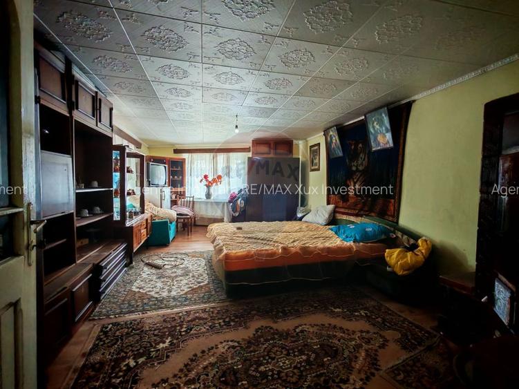 Casa ultracentral in Saliste cu un teren generos de 1757 mp - 10