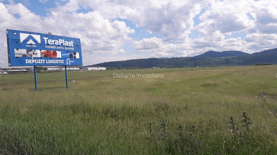 Teren intravilan 8900 mp,Dumbrava Rosiejud Neamt - 8