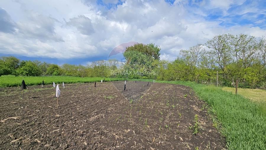 Casă  cu 3 camere, teren intravilan de 1300mp în Ipotești Tișăuți, SV - 26