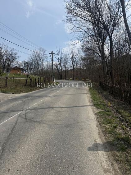 Teren intravilan la asfalt 2100 mp deschidere 21 mp la asfalt! - 9