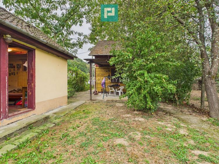 Casă de vacanță cu teren  în Lipova - 7