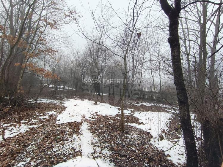 TEREN INTRAVILAN\\CORNU DE JOS - 3