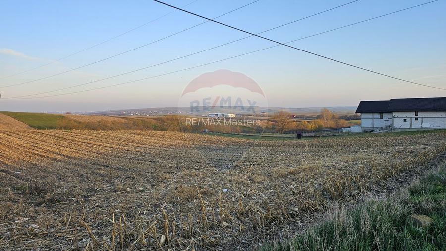 Teren Extravilan 2500 mp-Stroiesti, Suceava - 6