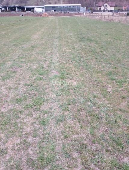 Teren intravilan de vânzare în Crainimăt - 2