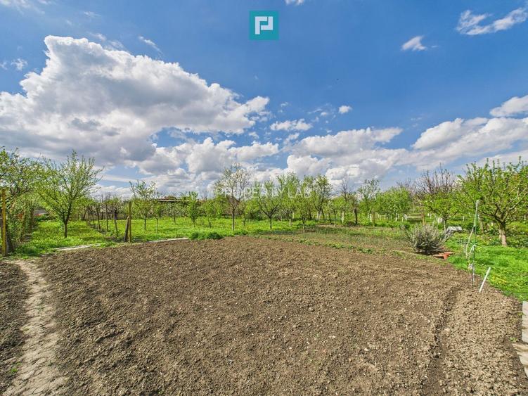 Casă individuală la Beregsău Mare, 2890 mp teren - 31