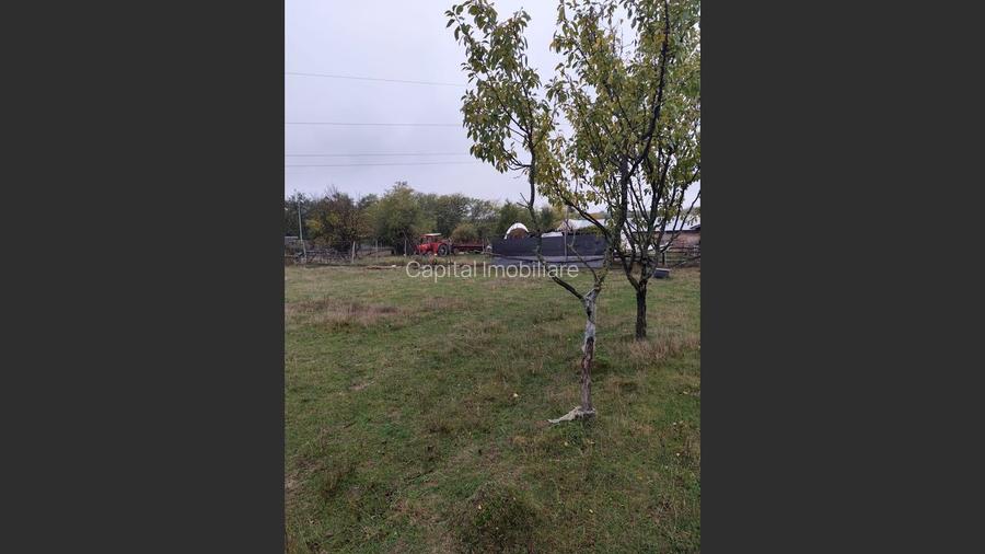 VIla de vanzare Teisani Stubeiu 11250 mp - 8