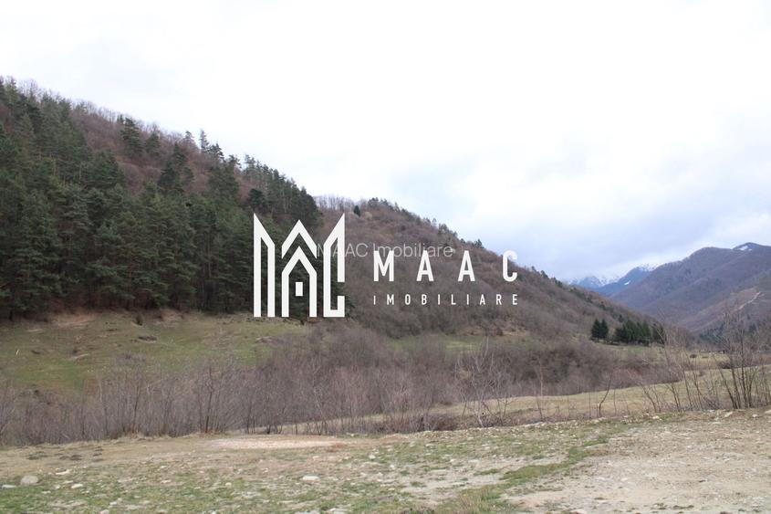 Pământ I Fereastră către Eternitate în  Transilvania - 4