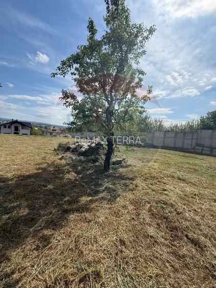 Teren exclusivist cu priveliste de vanzare in Baia Mare - 13