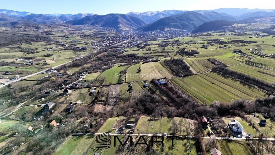 Teren intravilan 1000mp Tropinii Noi - 6