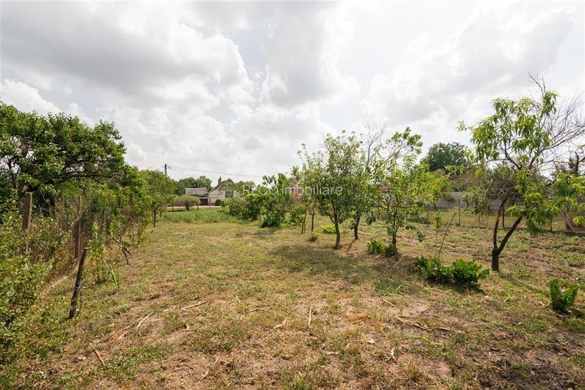 Teren mare cu 2 case si front la 2 strazi in Tamaseu - 34