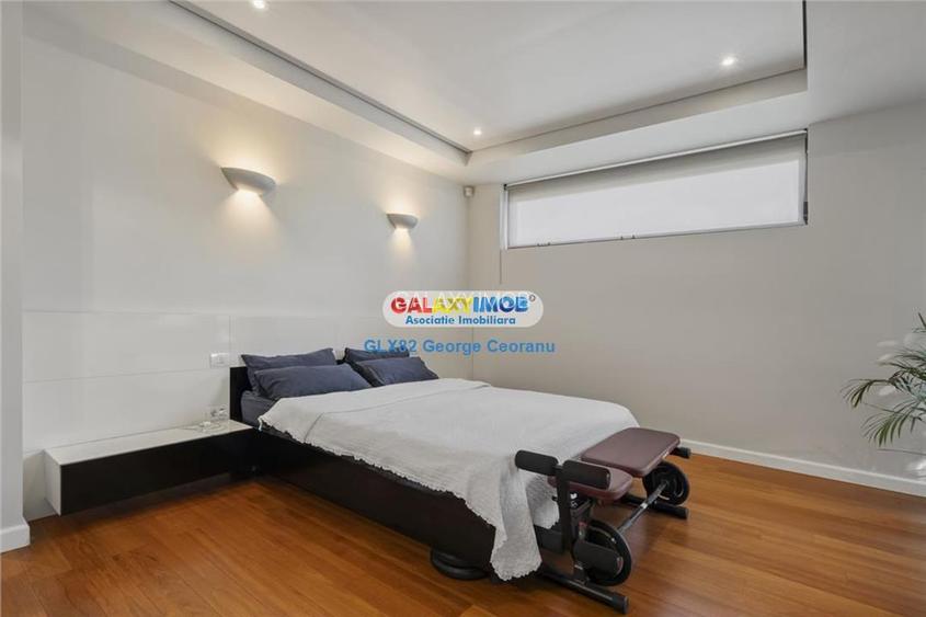 Vanzare vila individuala, curte mare, piscina, Berceni Macului - 9