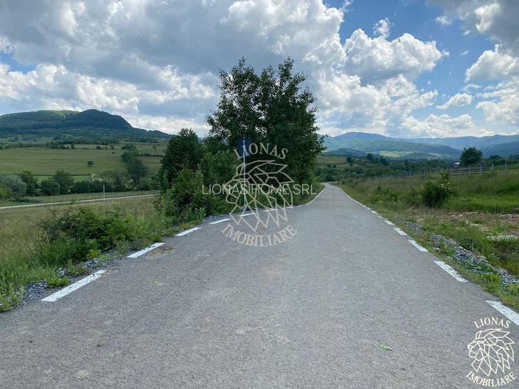 Teren 6500 mp-Lac-vedere panoramica-ideal cabana-Cusma - 8