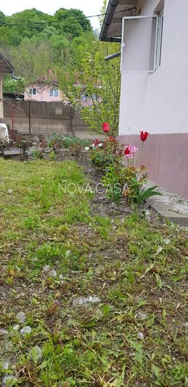 Casă cu 1,6 Hectare de Teren lângă Mănăstirea Govora - 9
