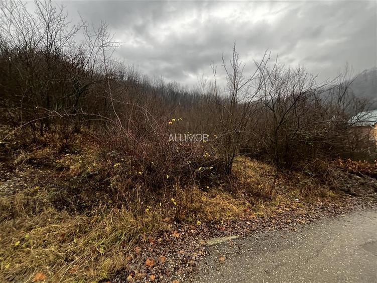 Teren intravilan 653 mp in Boldesti-Scaeni. - 8