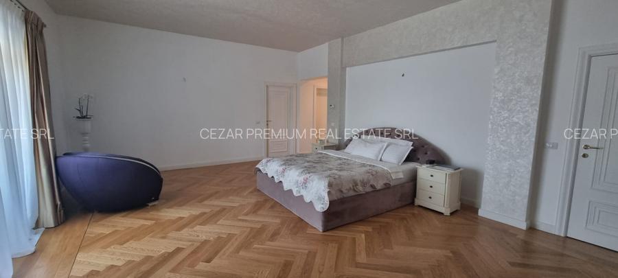 PIPERA IANCU NICOLAE VILA LUX RENOVATA COMPLET 2022 - 58