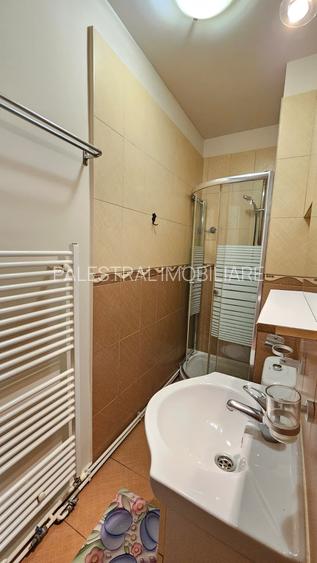 Casa Cenreul Civic-Mesota,mobilata-utilata,500 Euro - 5